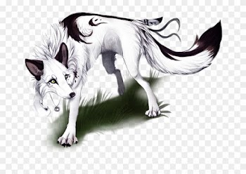 Male Vs Female Wolf Anatomy Gene White And Black Male - Alpha Female Anime Wolves
