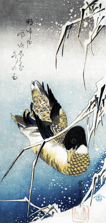 Mallard duck (1843) vintage Japanese | Free Photo Illustration - rawpixel