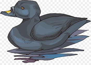 Mallard Duck Portable Network Graphics Adobe Photoshop Design - brave bird 