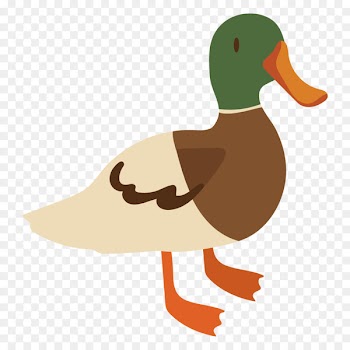Mallard Duck Sheep Vector graphics - farm 