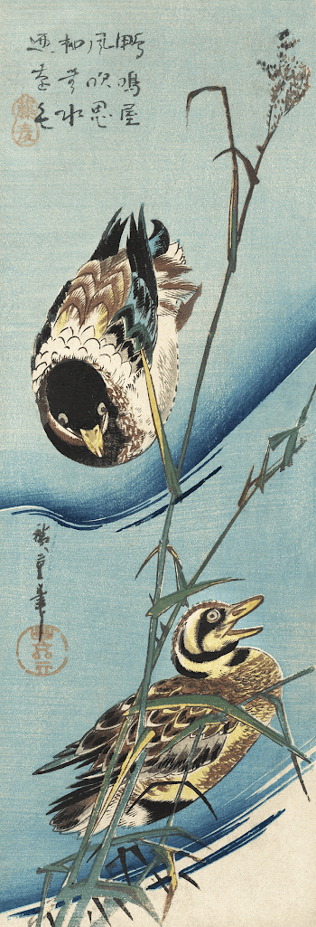 Mallard ducks (1843) vintage Japanese | Free Photo Illustration - rawpixel
