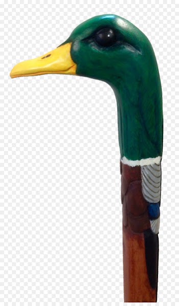Mallard Goose Duck Cygnini Bird - goose 