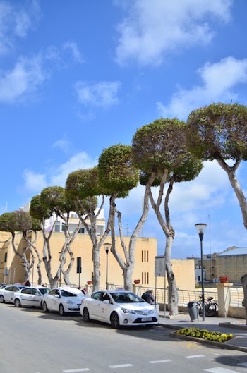 Malta Spring