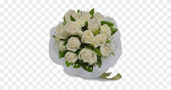 Mamma Romantica - White Roses