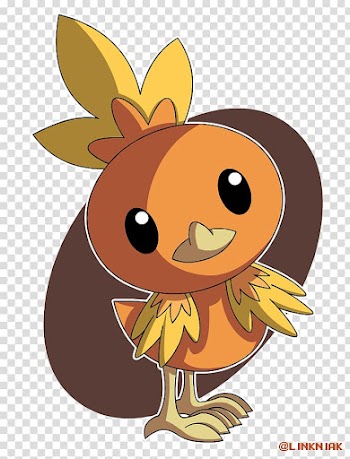 Mammal Beak Pumpkin , pumpkin transparent background PNG clipart