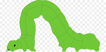Mammal Cartoon Green Illustration - Inch Worm Cliparts png ...