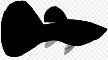 Mammal Clip art Silhouette Line H&M -  