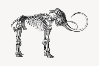 Mammoth fossil  clipart, animal | Free Vector - rawpixel