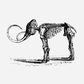 Mammoth fossil, extinct animal illustration. | Free Photo Illustration - rawpixel