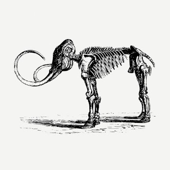Mammoth fossil illustration, extinct animal | Free PSD Illustration - rawpixel