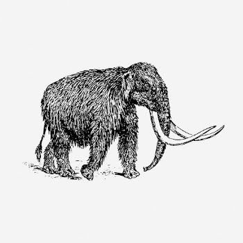 Mammoth hand drawn illustration, extinct | Free Photo - rawpixel