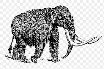 Mammoth png sticker, extinct animal | Free PNG - rawpixel