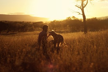 Man and Dog on Grass Field During Sunset