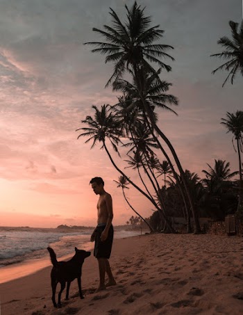 Man and Dog Standing on Shore