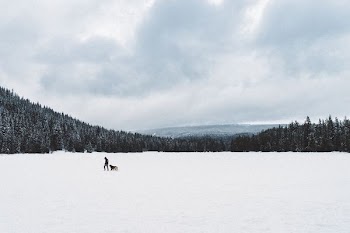 man and dog walking on snow covered ground
