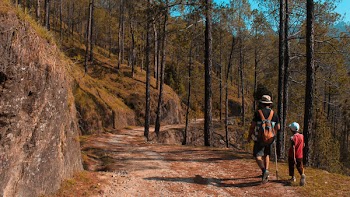 Man and Kid Walking on Downhill