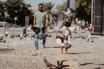 Man and Toddler Walking Near Birds