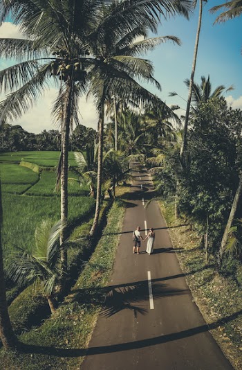 Man And Woman Holding Hands