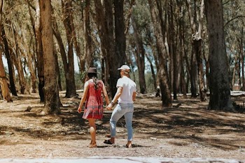 man and woman holding hands walking under the trees