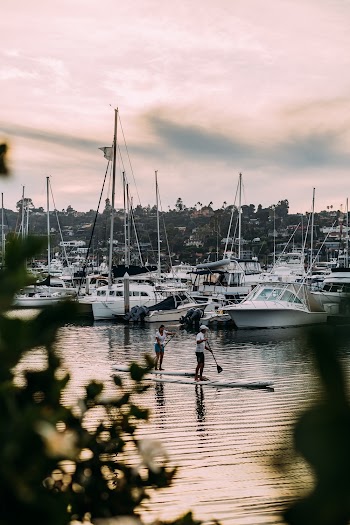 Man and Woman on Paddle Boards