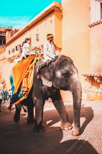 Man And Woman Riding An Elephant