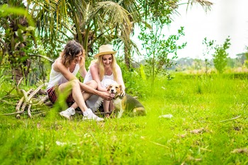 Man and Woman Sitting on Twigs Petting Beagle on Grass Area