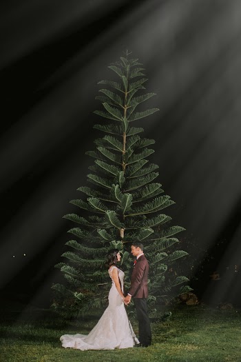 Man And Woman Standing Beside Tree