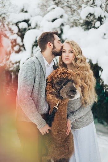 Man And Woman Standing Next To Brown Animal
