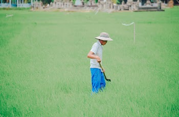 Man At A Grass Field