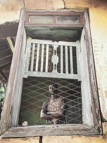 Man Behind Window
