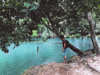 Man Beside Tree Facing Body Of Water