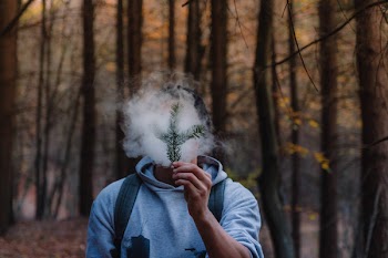 Man Blowing Smoke to Leaves Beside Brown Trees