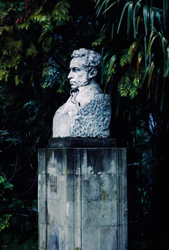Man Bust Beside Trees
