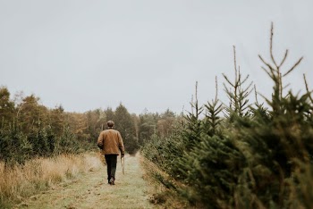 Man carrying a bow saw | Free Photo - rawpixel