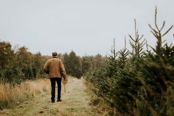 Man carrying a bow saw | Free Photo - rawpixel