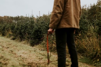 Man carrying a bow saw | Free Photo - rawpixel