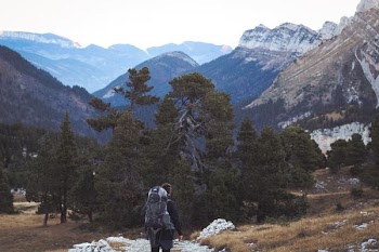 man carrying backpack standing near trees and mountain