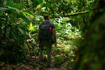 Man Carrying Black Backpack Standing Beside Trees