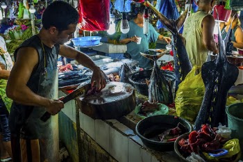 Man cutting fish in market, | Free Photo - rawpixel