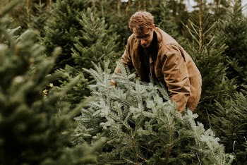 Man dragging a Christmas tree | Free Photo - rawpixel