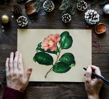 Man Drawing Pink Camellia Flower Beside Brown Pinecones
