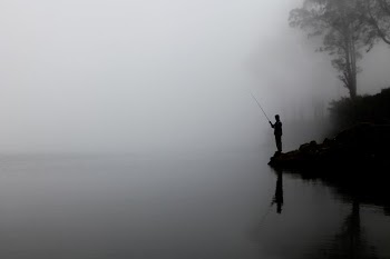 man fishing on calm water behind tree