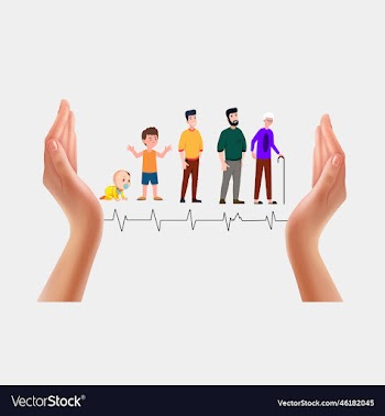man grow life cycle