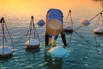 Man Harvesting Salt