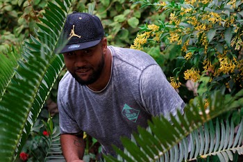 Man Hiding Behind Palm Tree