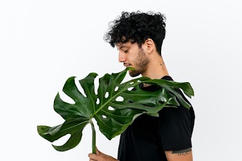 Man holding a huge tropical monstera leaf | Free stock photo | High Resolution image