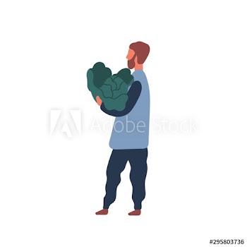 Man holding big cabbage flat vector illustration