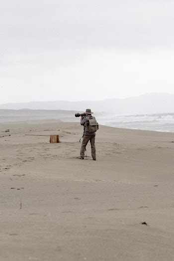 Man Holding Camera Standing on Seashore