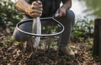 Man Holding Fish And Fishing Net