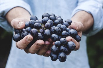 Man holding grapes. Original public | Free Photo - rawpixel